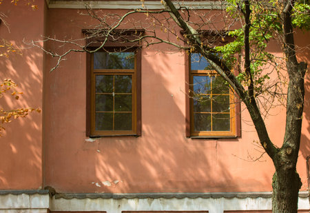 Orange building wall, old apartment house facade with wooden window frames. Branched leafless tree...