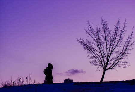 Two silhouette figures. Contrasting silhouette of a branchy tree without leaves of people walking down a street against a sunset purple evening sky. Twilight skyline with copy space. Very peri color.の写真素材