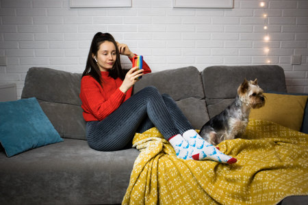 Young brunette woman in red sweater is sitting on couch, yellow plaid using smartphone, gadget for online surfing, chatting. Pretty girl with a little dog doggy puppy Yorkshire terrier pet. Cozy home.の写真素材