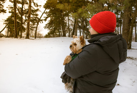 A woman in red cap holding hugging small Yorkshire Terrier dog walking in winter park in cold day. Pet with owner together, pine park, woods. Doggy in clothes. city people in snow. Free place for textの写真素材