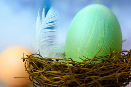 Green painted dyed Easter egg in bird's nest with white feather close-up on blue background. Rustic Easter background. April holidays postcard. Easter eggs abstract backdrop with space for text.の写真素材
