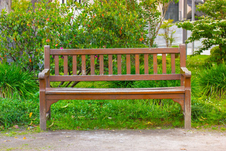 A wooden bench in a green springtime or summer park. An empty vacant space on a bench for outdoor...