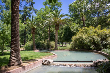 A stream with blue water in a green tropical botanical garden, park on a sunny spring or summer day....