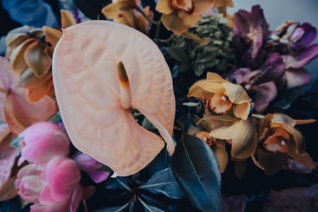 Beautiful colorful tropical flowers on dark blue background. Pink anthurium, tailflower, flamingo flower, laceleaf, peony, orchids with green leaves. flower composition. Amazing floral bloom wallpaperの写真素材