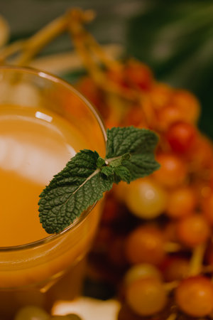 Hot aromatic drink in a glass decorated with a green mint leaf. Hot warming drink for autumn vertical photo. Multifruit cocktail with grapes and other seasonal fruits on a table. orange or peach juiceの写真素材