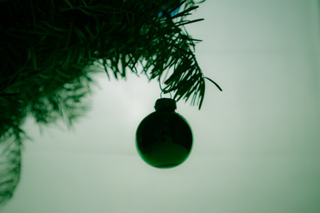 Contrasting background of fir branch twig of a Christmas tree with herringbone glass green toy silhouette on a light green background. Concept of celebrating New Year 2023. Winter holidays wallpaper.の写真素材