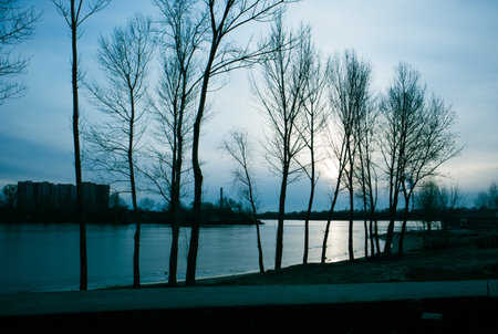 Silhouettes of bare trees without foliage on a river coast, by a lake, on a river coast against a blue sky in a cold fall, winter season. City park, lake in blackout. Autumnal landscape Winter eveningの写真素材