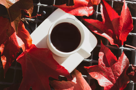A white stylish ceramic or porcelain cup on a saucer stands amid red fallen leaves. Aesthetic...