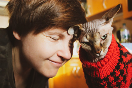 Woman loving cat. Rubbing her head on the cat's head. Beloved Canadian Sphynx breed. Mistress and...