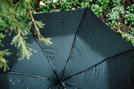 Black wet umbrella, with small water droplets from inside, umbrella spokes. Bad weather forecast,...