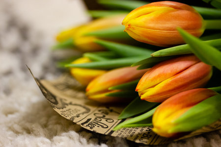 Bouquet of yellow and orange tulips wrapped in paper wrap. Fresh spring summer bulb flowers lying on a tufted rug in a cozy home atmosphere. Floral present, gift for mother, beloved in March 8.の写真素材