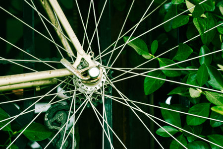 Metal spokes of an old vintage bicycle. Bike wheel details amidst green foliage. Eco-friendly...