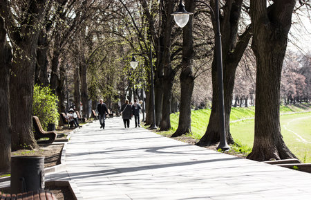 Uzhgorod, Ukraine April 1, 2022 A street that goes into a distance in a city park. Cityscape in spring sunny day. Green deciduous trees, grass. People walking outdoors. A path way in the alley gardenのeditorial素材