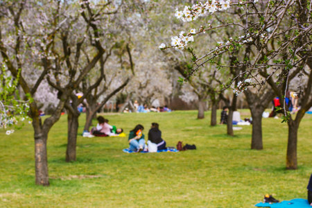 A city park in a sunny spring day with people relaxing in nature at a picnic sitting on green grass among blossoming fruit trees. Entertainment in the orchard outdoor. Blurred photo selective focus.の写真素材