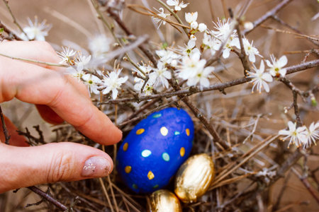 Easter egg hunt - a popular game at Easter holidays celebrations. A woman's hand reaches for...