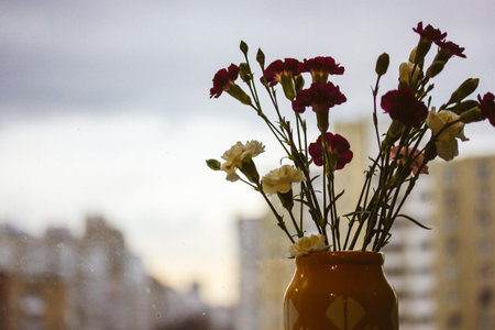 Yellow vase with small pink and white carnations. Floral decor for a modern home. Bouquet of flowers on window sill in warm light indoors. Congratulations with spring holidays. floral gift.の写真素材