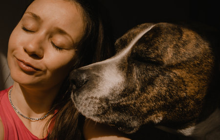 A dreamy woman with a big German boxer dog portrait close up. Brown canine kissing a smiling girl with eyes closed in her cheek. Owner and pet having fun together. Loyal faithful friend and mistress.の写真素材