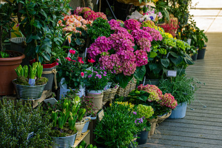 Madrid Spain April 5, 2023 A flower store with an assortment of different flowers sold on a city street. Spring flowers for the holiday. Entrance into a floral shop. Plants blossoming in pots outdoorsのeditorial素材