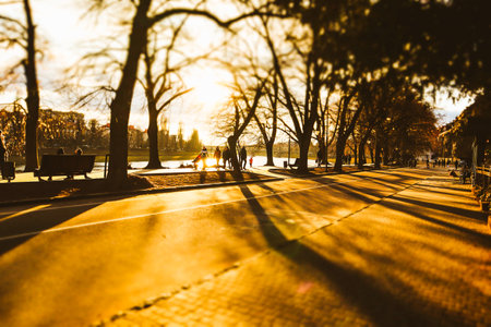 A city street in an autumn park flooded with sunlight at sunset of a day. A walk in a square in an urban environment. Sunny warm weather in September, October. Long shadows of the bare trees.の写真素材