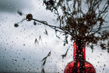 Red glass clear vase with a bouquet of wildflowers, herbs outside a window with raindrops against blue gray cloudy sky. Rainy overcast weather on an autumn day. Still life floral composition.の写真素材