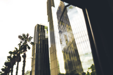 Tall buildings with glass facades and the reflections in the golden rays of sunlight. Urban street with palm trees against a sky. Abstract details of modern architecture. Financial business district.の写真素材