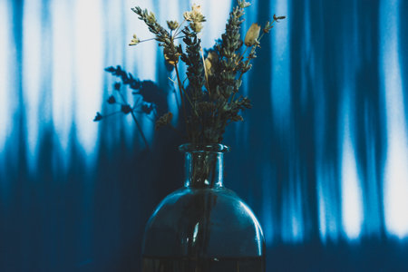 Beautiful still life with a bouquet of dried wildflowers in a glass vase on a deep blue background with vertical shadows. Interior decor of a rural house. Floral arrangement. Floral shadow on a wall.の写真素材