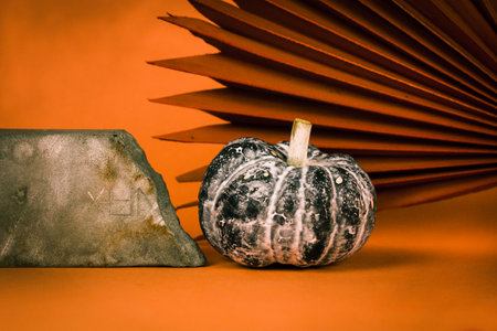 Beautiful still life with small gray pumpkin and stone podium on orange background. Wallpaper for desktop with fall harvest. Halloween concept. Autumnal backdrop. Home decor. Thanksgiving Day Fine artの写真素材