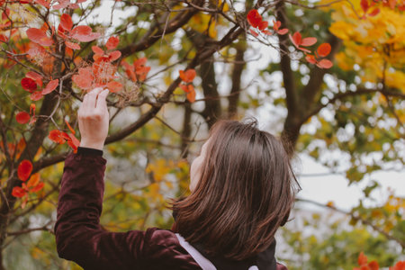 Young brown-haired woman touching tree branch with colorful red-yellow-green foliage in autumn park. F pshkd enjoying a walk relaxing in nature in a fall season Back view female tourist discover natureの写真素材