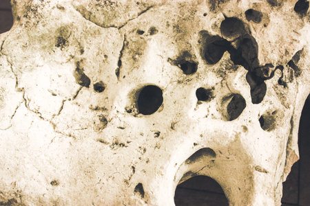 Beige brown rock with black natural holes. Grunge stone wall element, details Abstract stones, rocks...