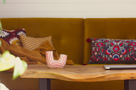 Brown sofa with a soft blanket, a wooden table in modern apartment. Apartment interior details, decor for cozy home, stylish vase and pillows. Contemporary coach, furniture in a room front view.の写真素材