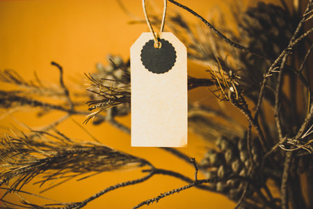 Handmade label design mock-up on a bouquet of dry pine branches with cones in vase. New Year, Christmas decor for home interior. Natural decoration.の写真素材