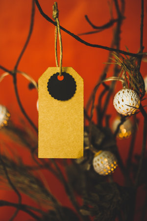 Handmade vintage price tag, label design mock-up and bouquet of dry pine branches, cones on red background. New Year, Christmas home decor, garlands.の写真素材