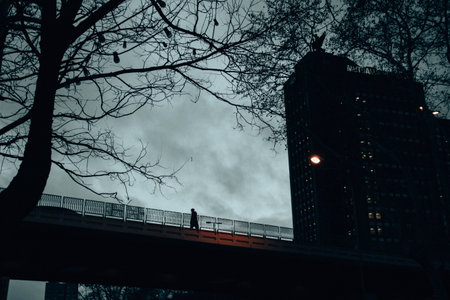 A high pedestrian bridge against dark blue gloomy sky. Scary urban cityscape.のeditorial素材