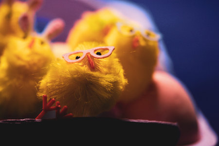 Stylish yellow cheerful Easter chickens in pink sunglasses celebrating Easter holidays joy. DIY...