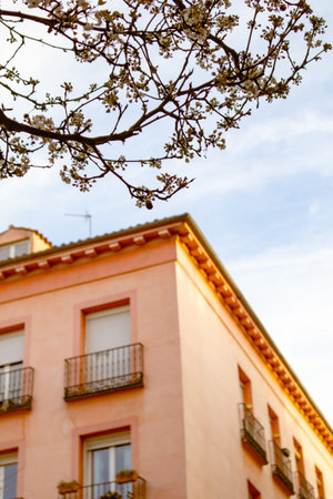 Low angle view of an old apartment building, orange house facade with typical windows, balconies. A tree branch with blooming flowers in spring day.の写真素材