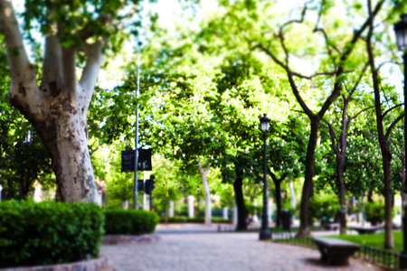 Madrid, Spain 1 April 2024 City park in spring, tall deciduous trees with fresh green foliage on the branches. Paved cobblestone road in a parkland.のeditorial素材