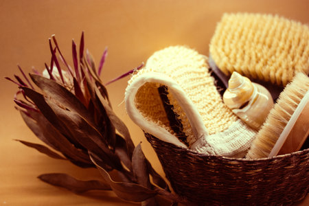 A basket of hard-bristled massage brushes. Body skin care. Beauty products. Still life with women's cosmetics sea shell. Preparing the body for summerの写真素材