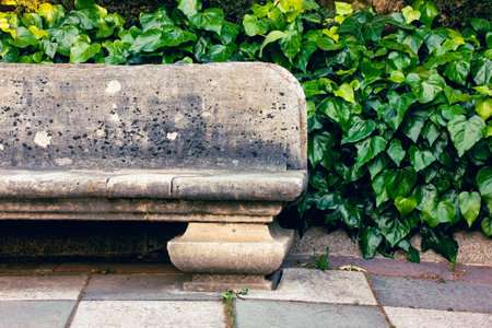 Madrid, Spain. January 7, 2024 A pink plastic bottle and mobile phone on the ancient stone bench. Leisure time in public park, garden in daytime.のeditorial素材