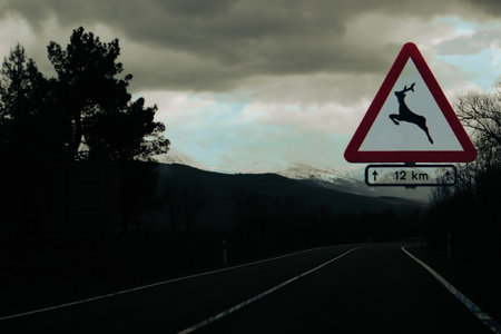 Road sign with deer symbol and asphalt road going away in a distance and snowy mountain peaks. Traveling in winter by car. Dark key travel concept picの写真素材