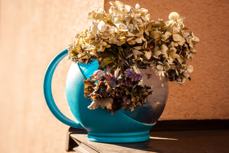 Bouquet of dried hydrangea beige flowers in a blue pot Vintage flowers in an old teapot against orange wall in rural house Provence floral compositionの写真素材