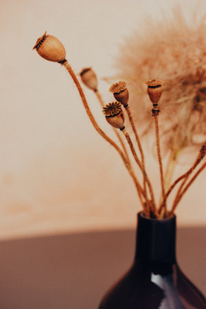 Interior design of cozy home with bouquet of dry flowers on a gray table against beige wall. Dried floral composition Large dandelion and poppy heads.の写真素材