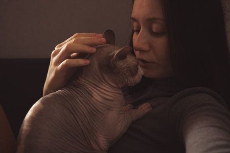 Aesthetic photo of a hairless cat and young woman petting it. Girl hugging sphinx cat indoors. A person with domestic animal. Human and pet at home.の写真素材