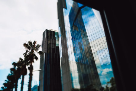 Modern skyscrapers with glass facade with blue sky reflection and palm trees in metropolis in dark key Abstract cropped urban architecture low angle.の写真素材