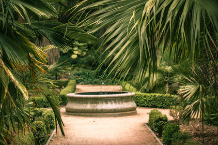 A path in the botanical garden among lush vegetation, green palms, exotic trees. Stone fountain in front. Bushes and shrubs in Jardin Botanical Madridの写真素材