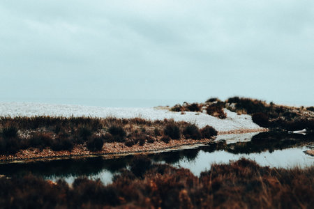 A ditch, creek or pond with blue water among dry reed grass grows along a body of water in the bleak fall season. Countryside landscape, wild lands.の写真素材