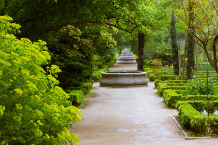 Straight road path goes into a distance into a spring garden. Green trees and trimmed bushes. Landscaped design Botanical gardens nature and fountainsの写真素材