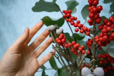 A beautiful Christmas or New Year's bouquet of Viburnum, Ilex and brunia berries in a woman's hand. Flower arrangement, floristics. Floral compositionの写真素材