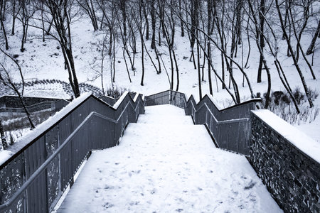 A winter landscape overlooking a snow-covered staircase on a frosty day. Bare trees and white snow...