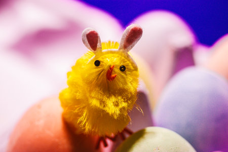 Funny yellow toy chick with bunny ears sit on colored eggs. Easter background. Festive backdrop. Congratulations with spring holidays in April.の写真素材