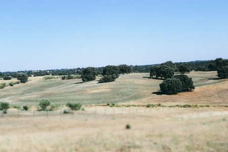 A vast, scenic landscape with rolling hills and scattered trees basks under a clear, bright blue...